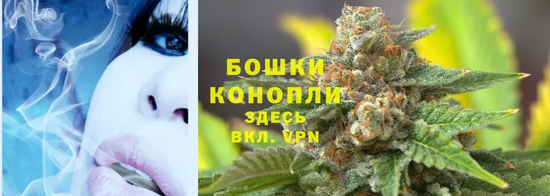 купить наркотики сайты  Нолинск  Бошки марихуана OG Kush 